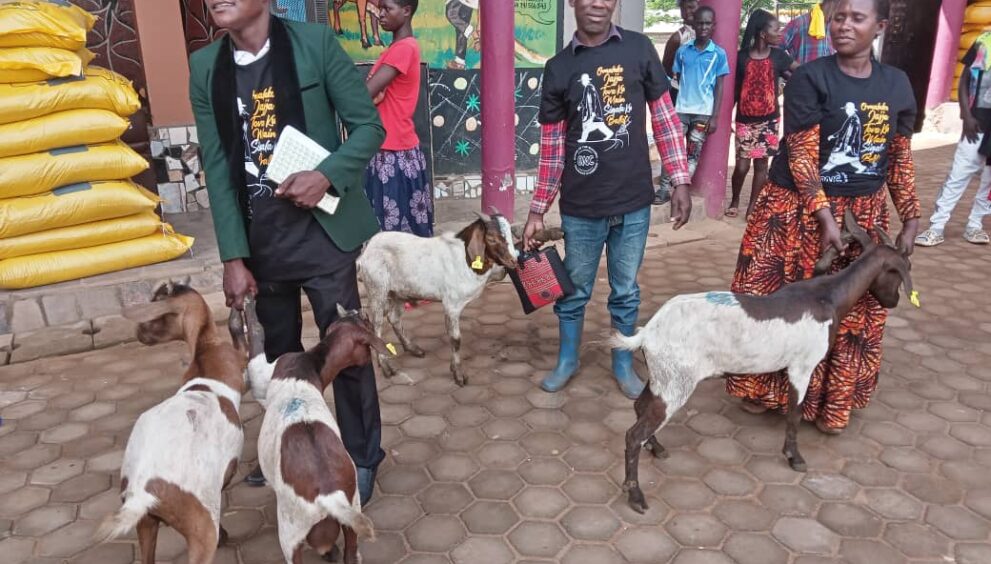 Some of the residents of Nakaseke and Nakasongola receiving superior-breed goats